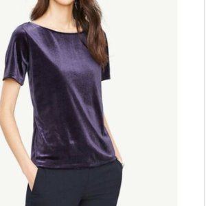 Ann Taylor Blue Velvet Short Sleeve